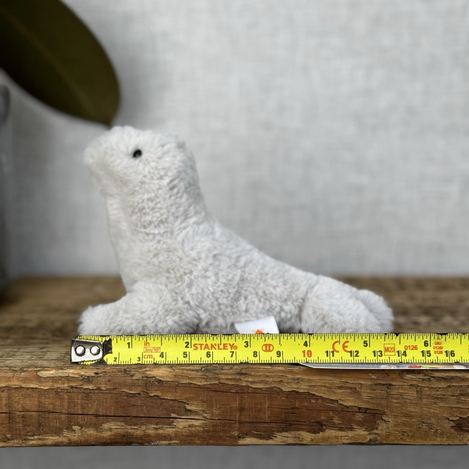 Jellycat Diddle Seal - Diddle Collection - Tiny Seal Soft Toy Plush Collectible 