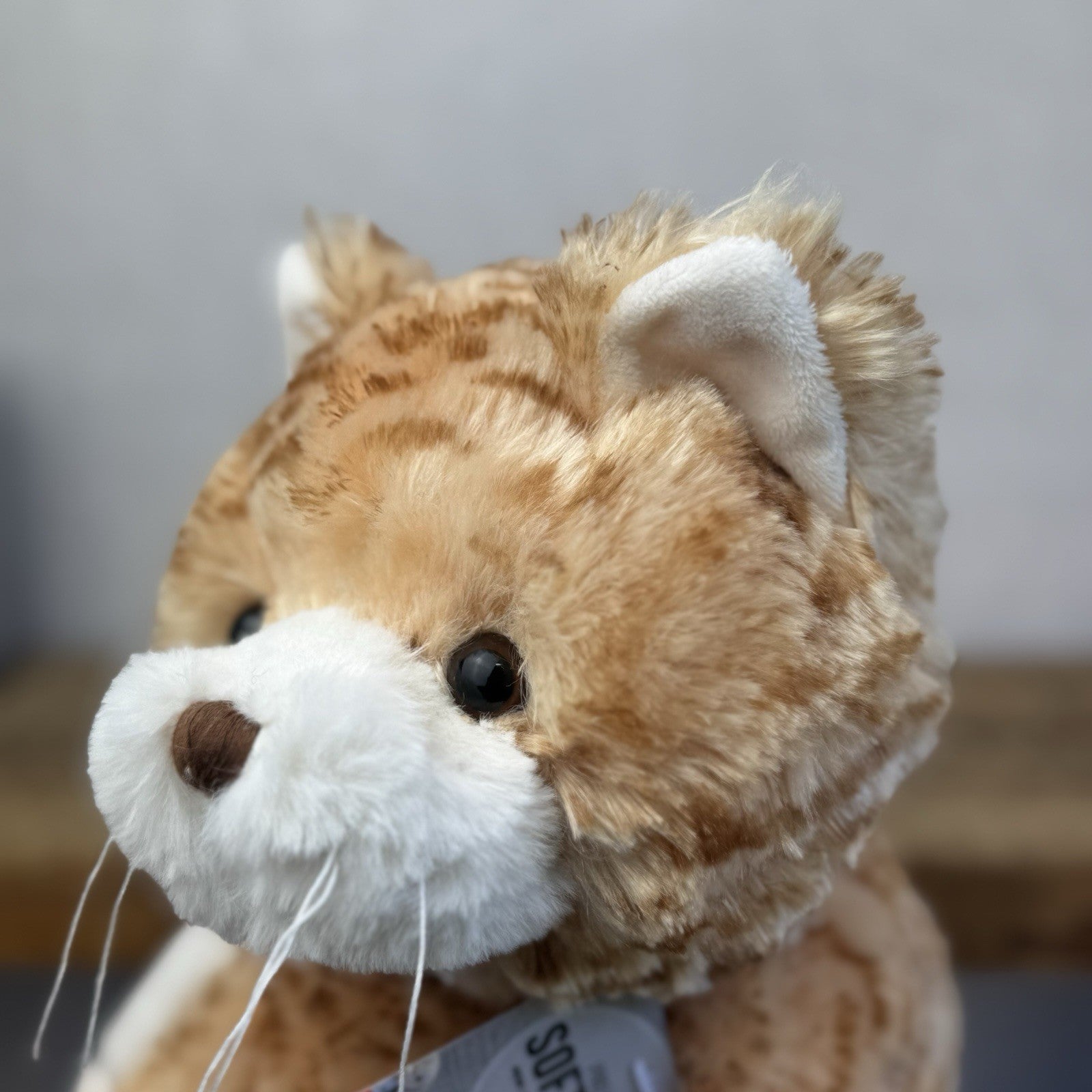 Bukowski Bears - Large Bukowski Great Loki Cat Kitten Large Floppy Ginger Tabby