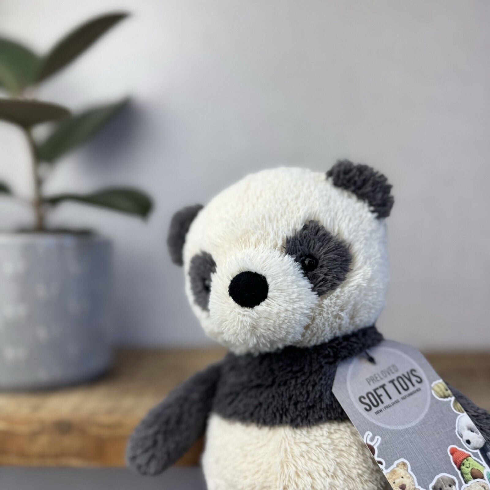 Jellycat Peanut Panda - Medium Peanut Scruffy Small Chubby Panda Plush Beanie 8”