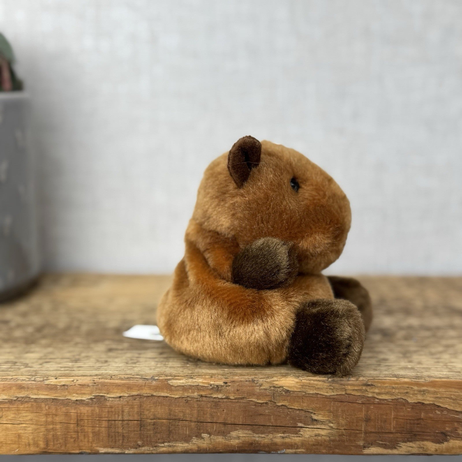 Aurora - Sid Capybara - Palm Pals Mini Beanbag Plush Mini Capybara Plush Toy 5”