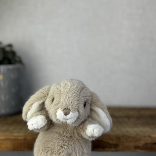 Barbara Bukowski Kanini Bunny Rabbit - Soft Toy Kanini Bunny Small Taupe Brown