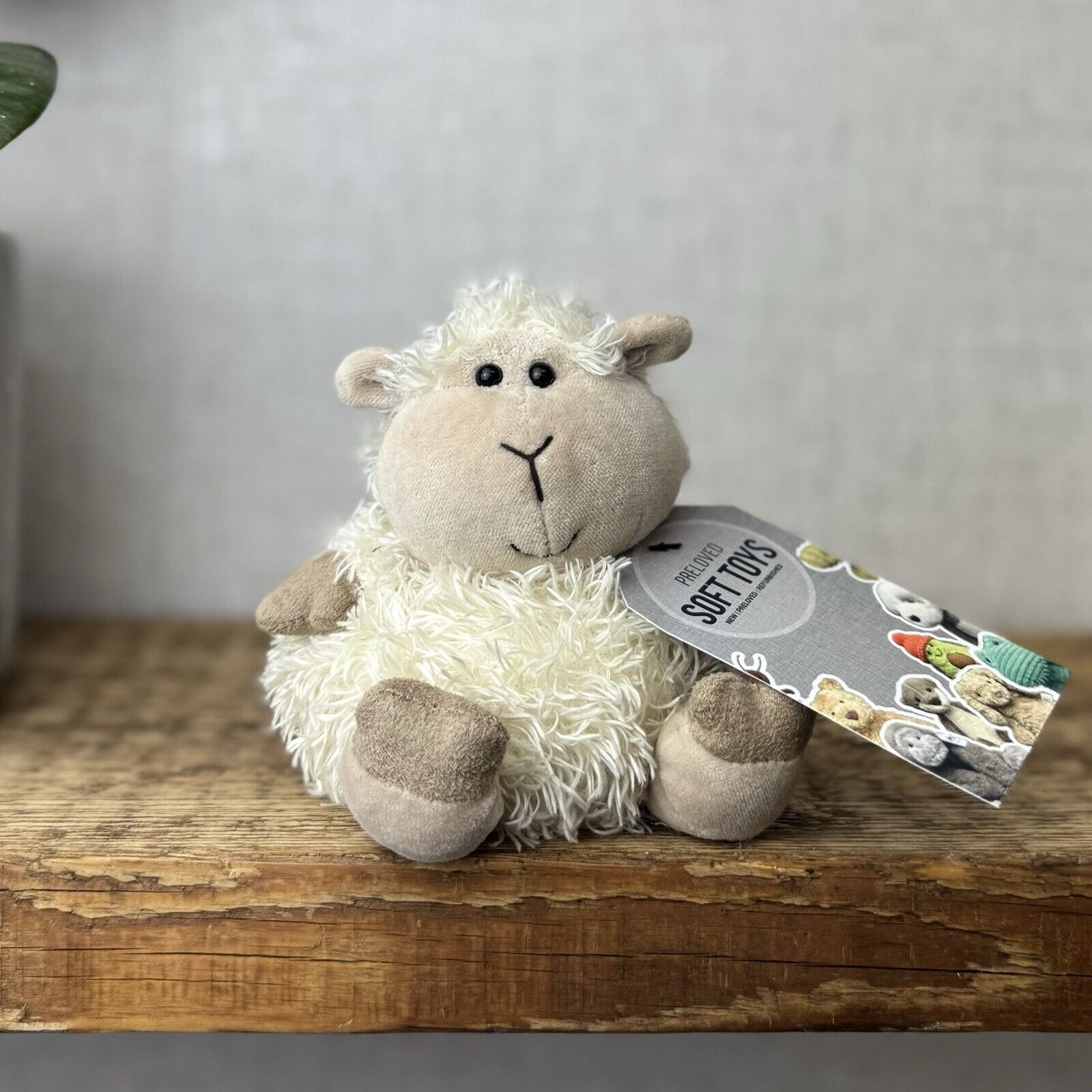 Jellycat Pudding Lamb Sheep - Small Fluffy Lamb Soft Toy Plush Beanie 5”
