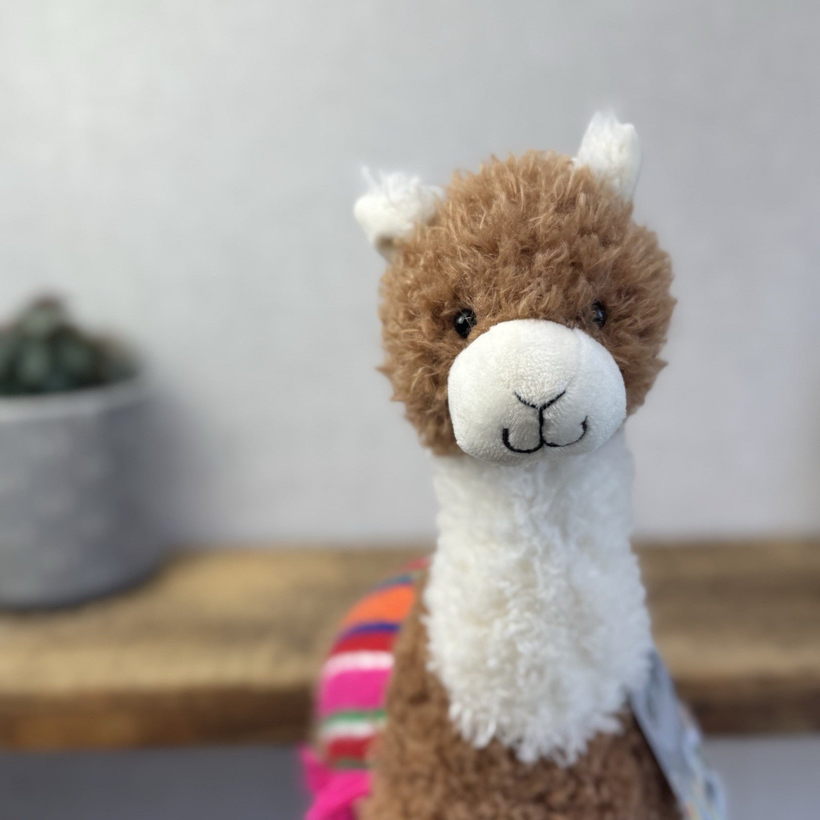 John Lewix X Jellycat Poncho Llama - Curly LLama Beanie Soft Toy Medium 12"