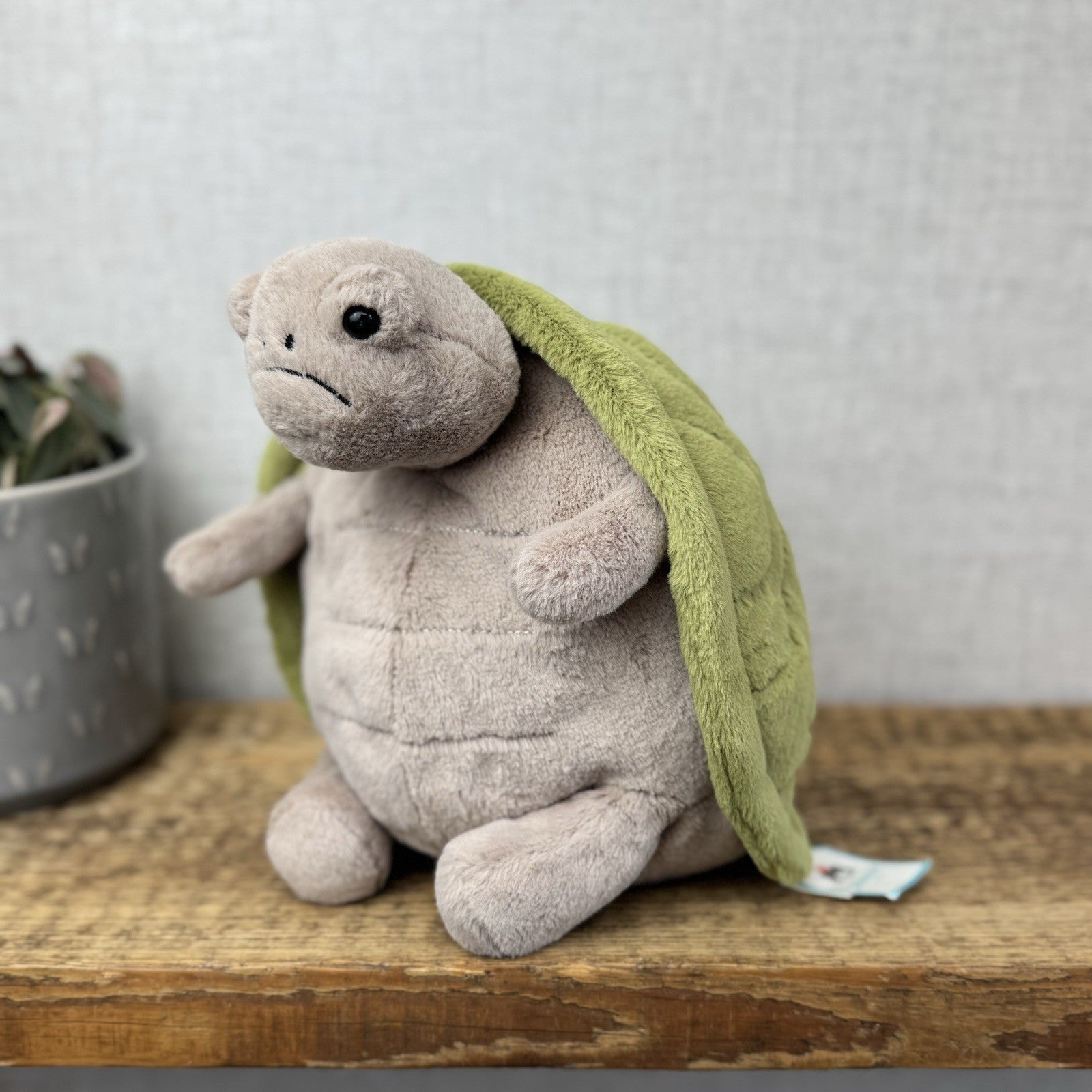 Jellycat Timmy Turtle - Grumpy Turtle Soft Toy (With Tags) Beanie Turtle 12"