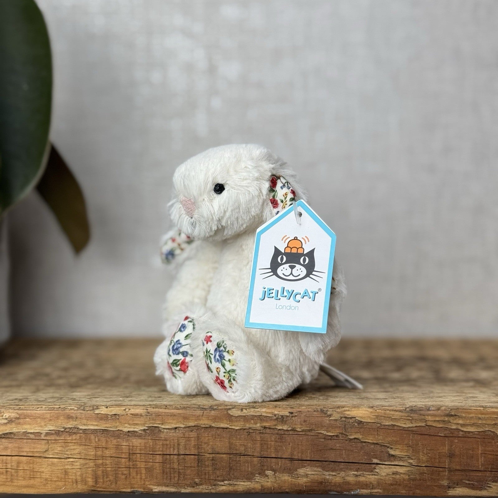 Jellycat Baby Cream Blossom Bashful Bunny - Baby Cream Rabbit New With Tags 5”