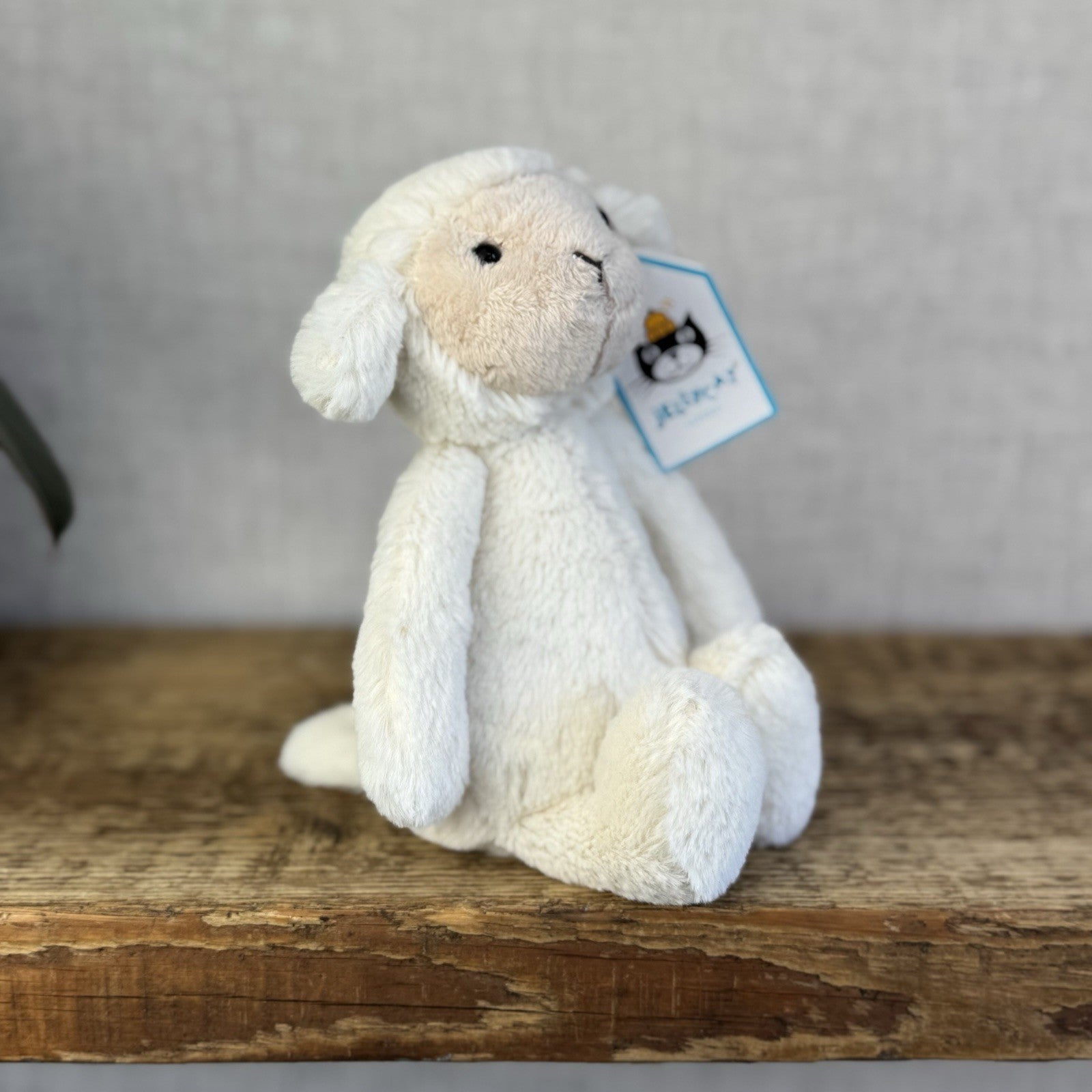 Jellycat Small Bashful Lamb Soft Toy Sheep New With Tags Cream Beanie 8” Tags