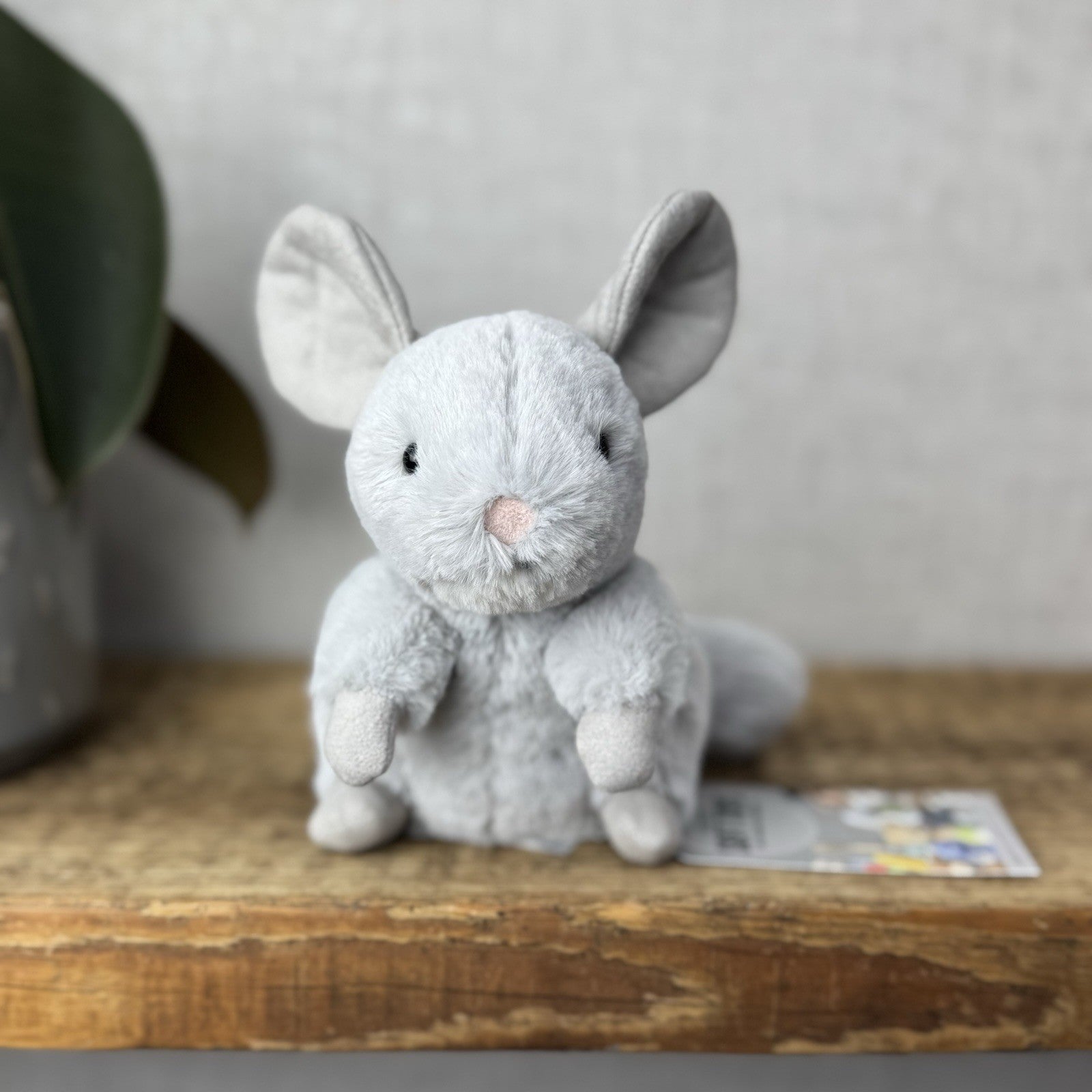 Jellycat Misty Chinchilla - Silver Grey Small Chinchilla Beanie Retired 6” (#2)