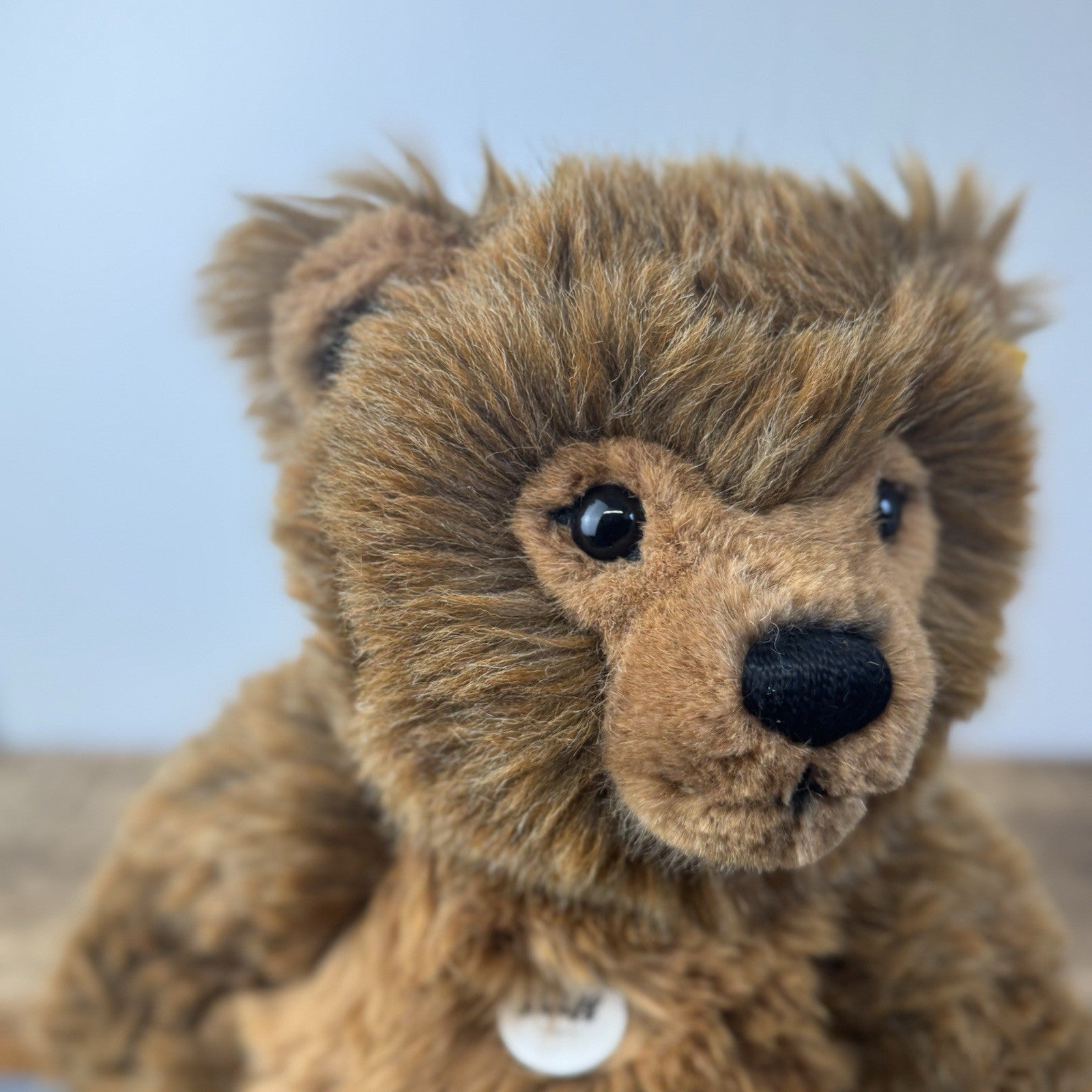 Steiff Grizzly Ted 10651 - Medium Fully Jointed Retired Bear (NWOT)