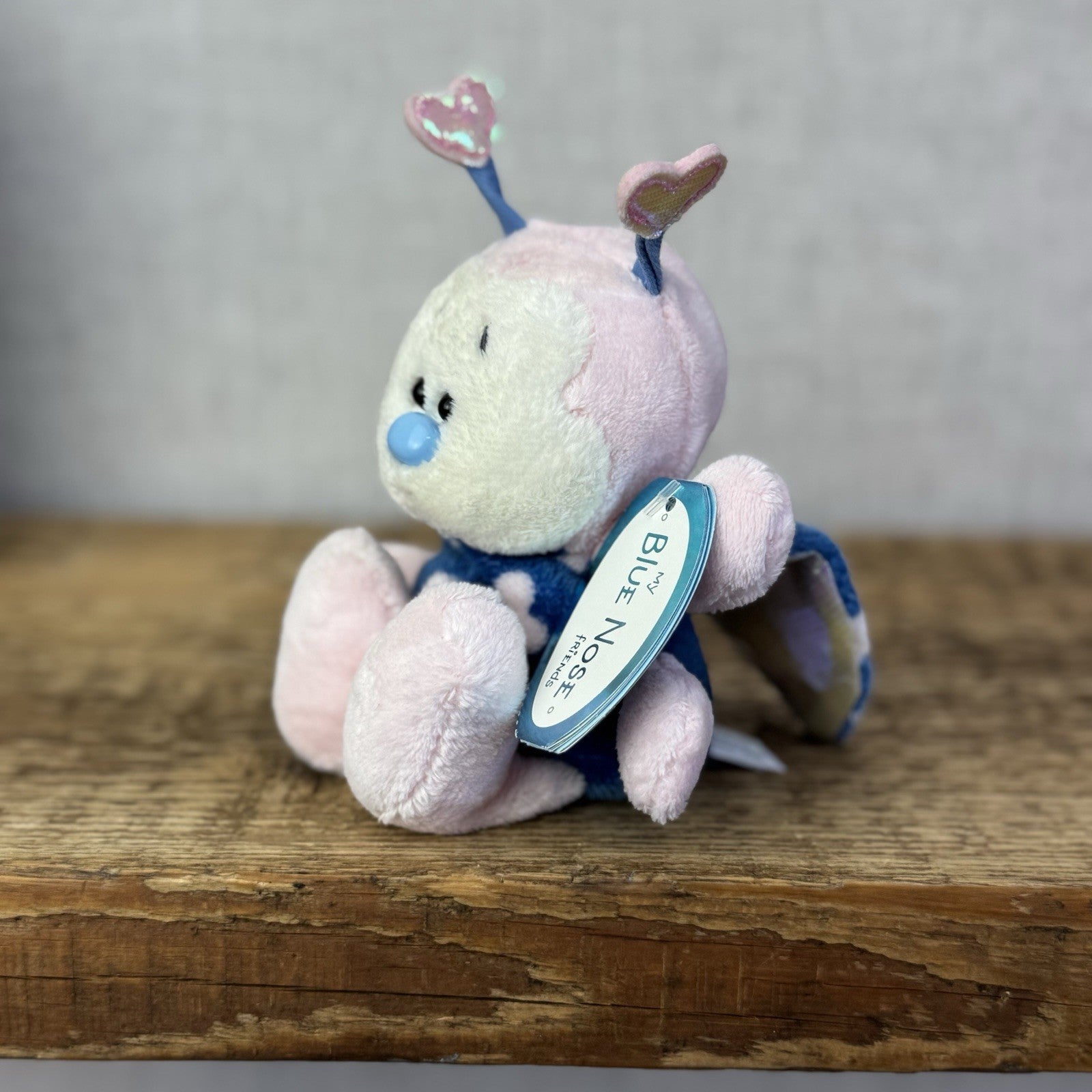 Blue Nose Friends - Passion #68 - Ladybird Carter Blanche Mini Soft Toy Pink 