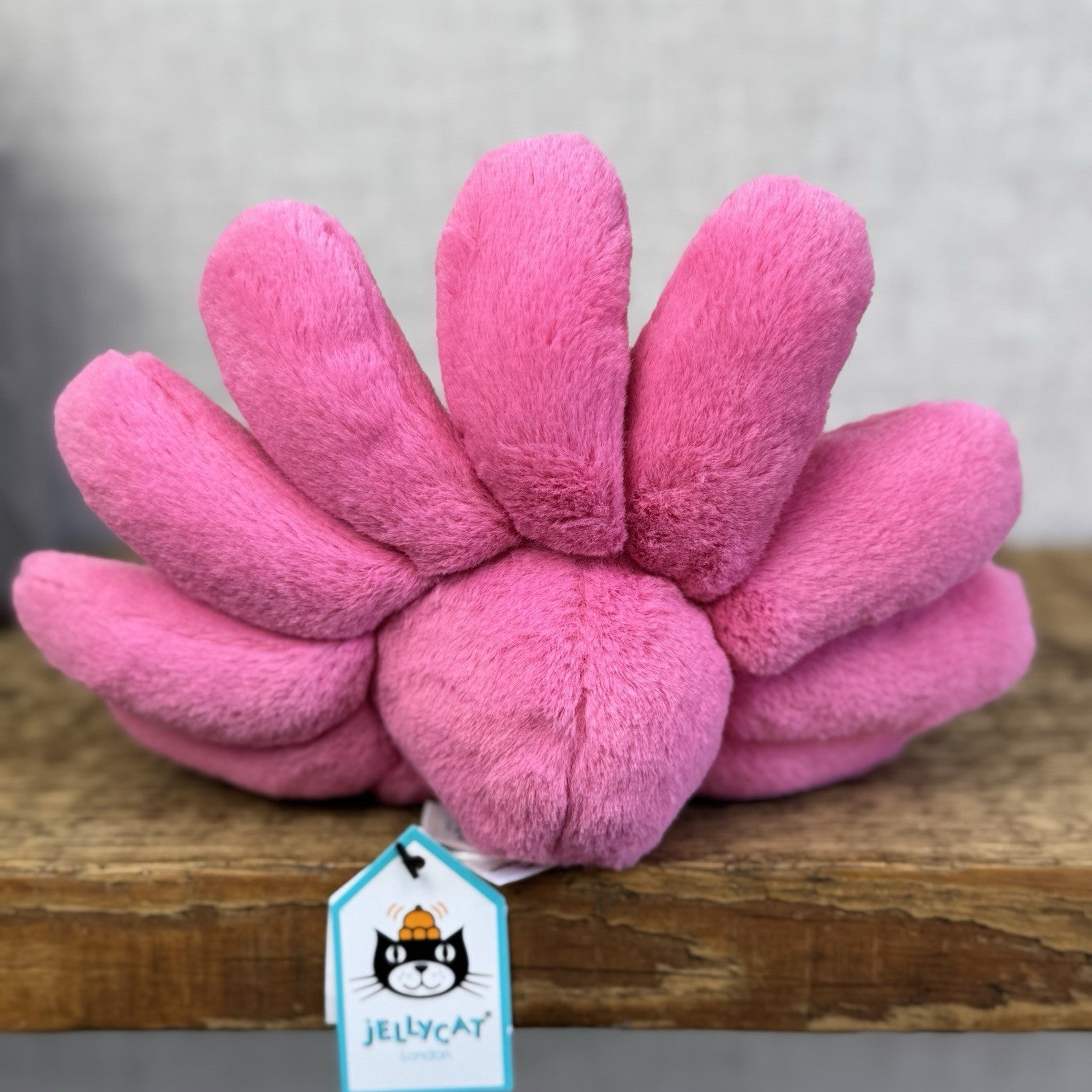 Jellycat Fleury Gerbara Small - Small Pink Flower Soft Toy With Tags Retired 8"