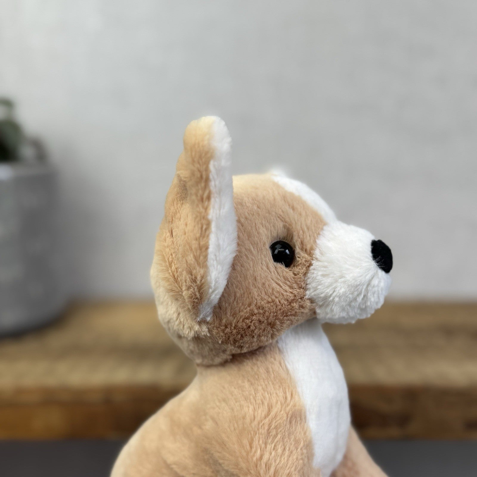 Jellycat Isobel Chihuahua - Small Soft Toy Dog Plush Beanie Cute Puppy 7"