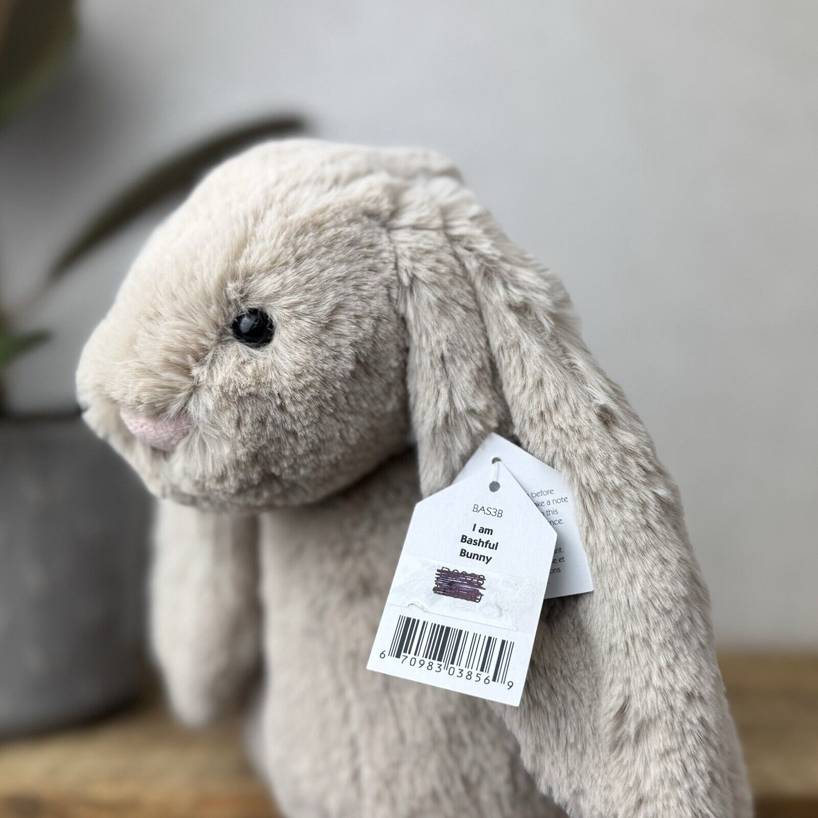 Jellycat Medium Bashful Beige Bunny - Light Brown Bunny Soft Toy Beanie 12” (2)