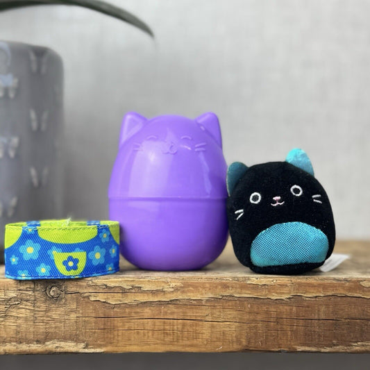 Squishmallow Squishville - Ibina The Black Cat With Capsule & Accessory 2” Tiny