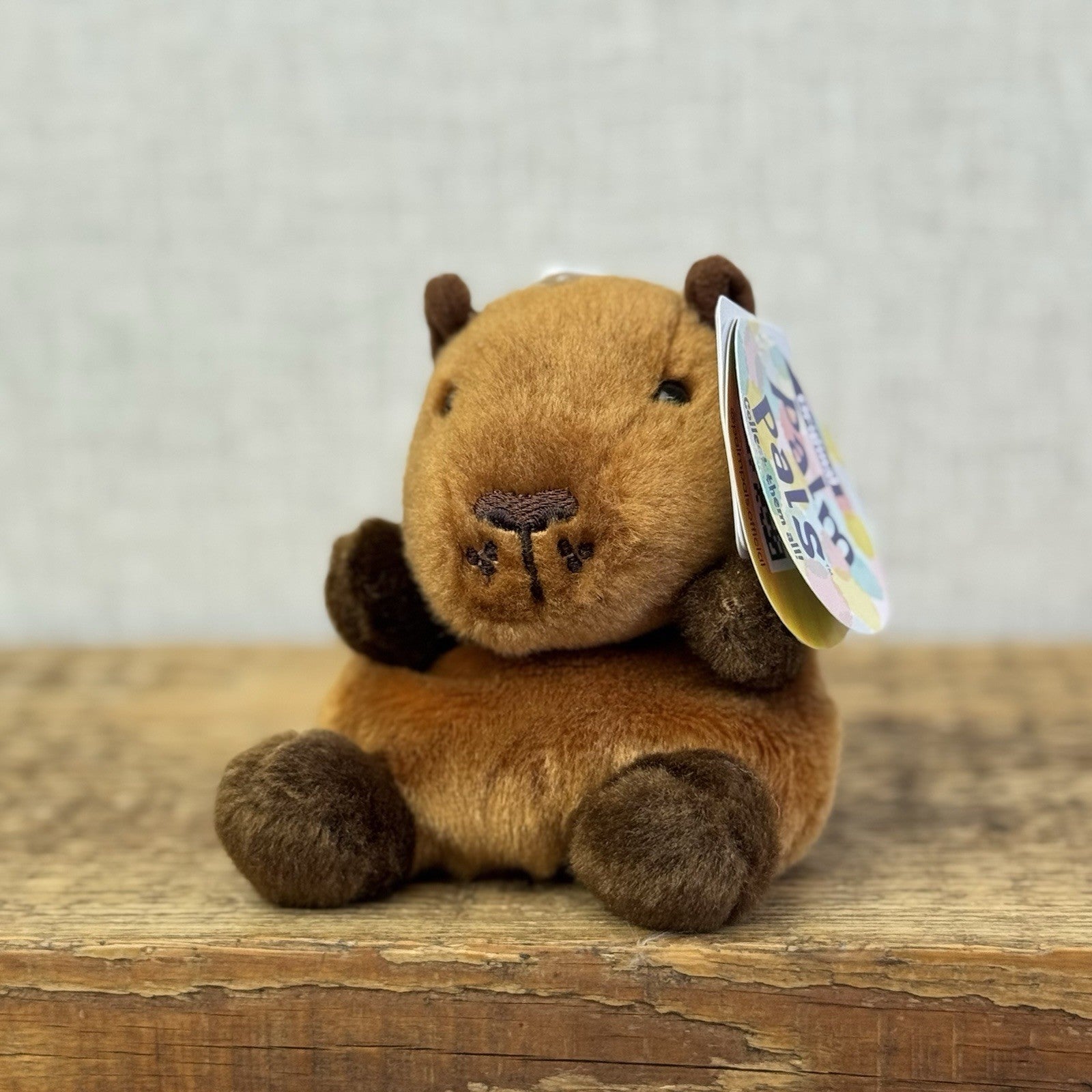 Aurora - Sid Capybara - Palm Pals Mini Beanbag Plush Mini Capybara Plush Toy 5”
