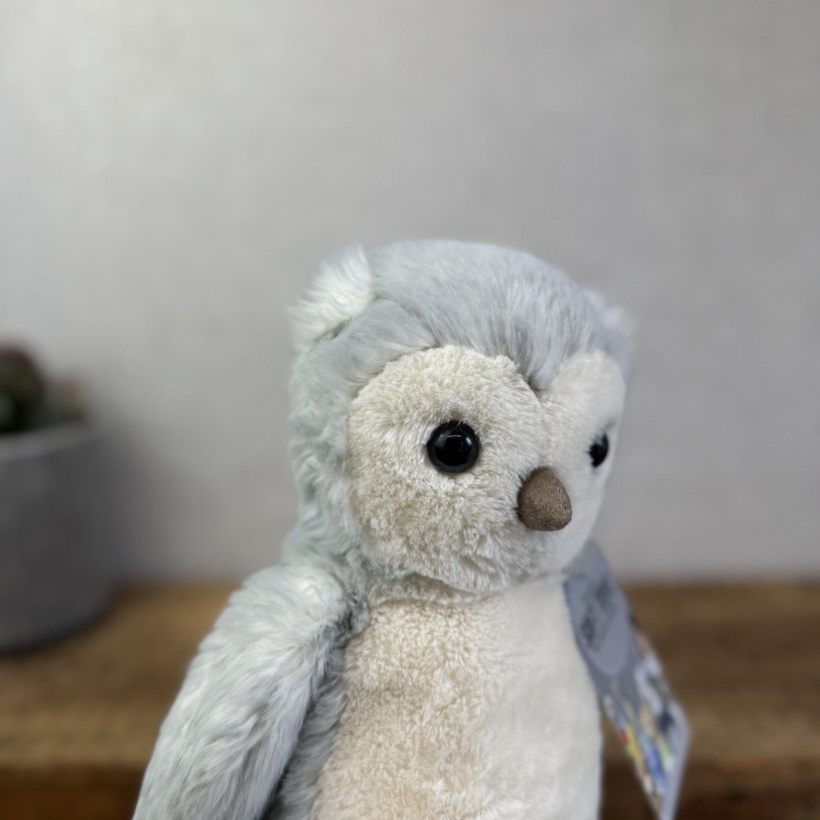 Jellycat Medium Bashful Owl Chick - Birch Grey Colouring Owl Soft Toy Medium 9"