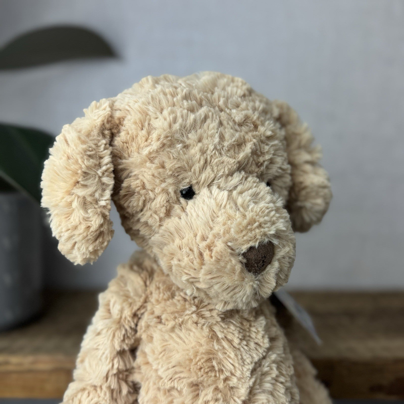 Jellycat Medium Mumble Dog - Iggle Squiggle Medium Textured Honey Puppy 12”
