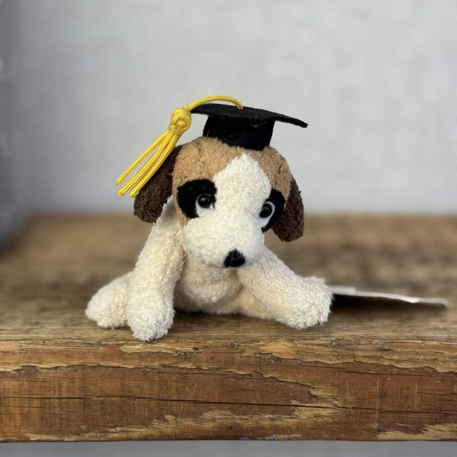 Russ Luv Pets Graduation Dog Patches - TINY Mini Version Super Cute 3” With Tags
