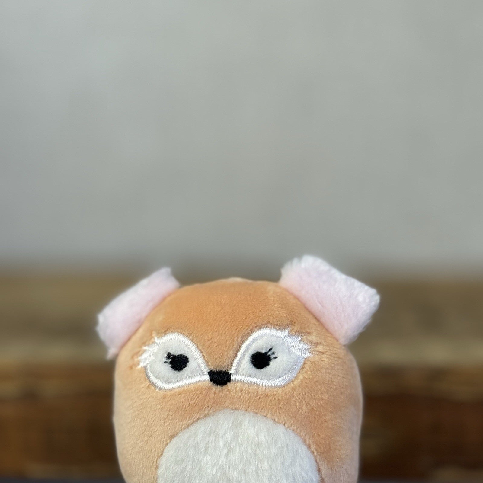 Squishmallow Squishville - Pace Fox Beige Fluffy Ears Fox (Multi Buy Discount)