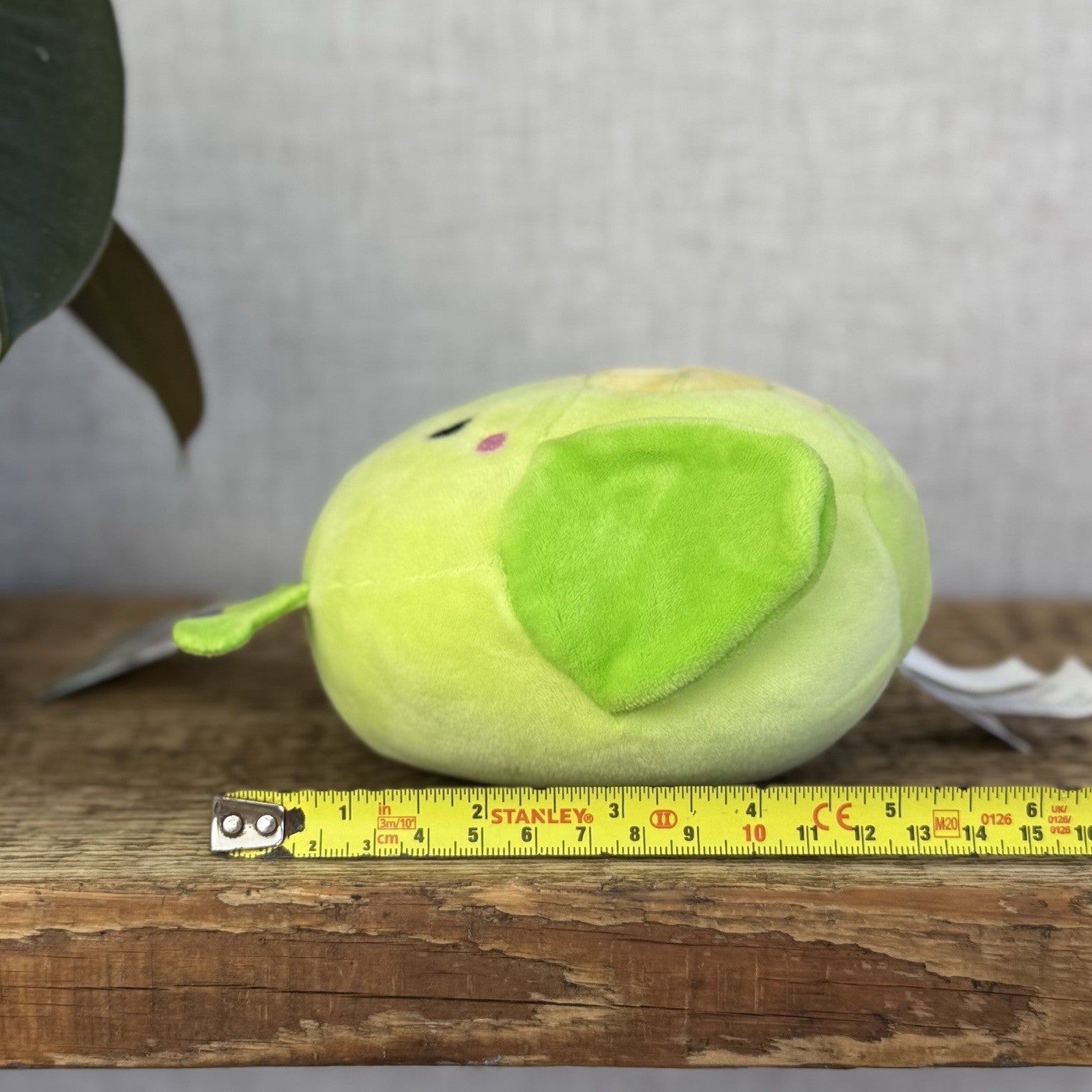 Squishmallow 5" Pilar The Grasshopper Small Green Bug Soft Toy Squishmallow
