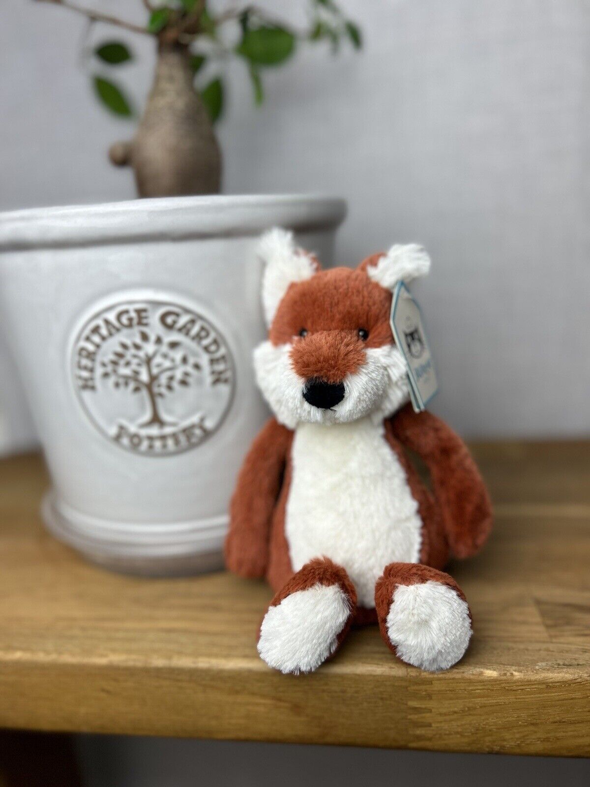 Jellycat Small Bashful Fox - White Belly Fox - OG - Small Fox Jellycat - New