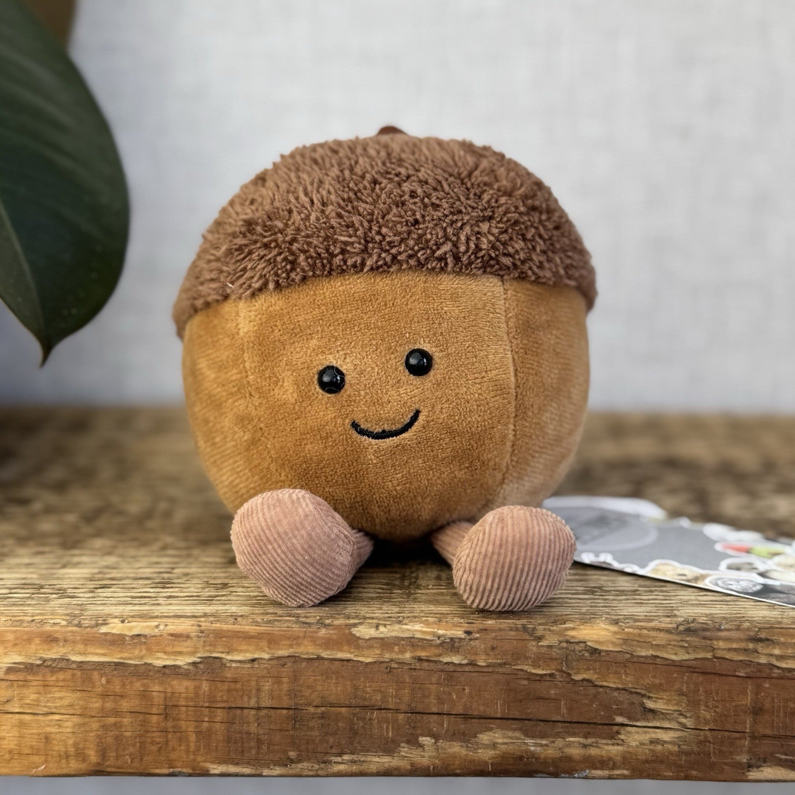 Jellycat Amuseable Acorn - Jellycat Autumn Soft Toy - Acorn Small Jellycat (#4)