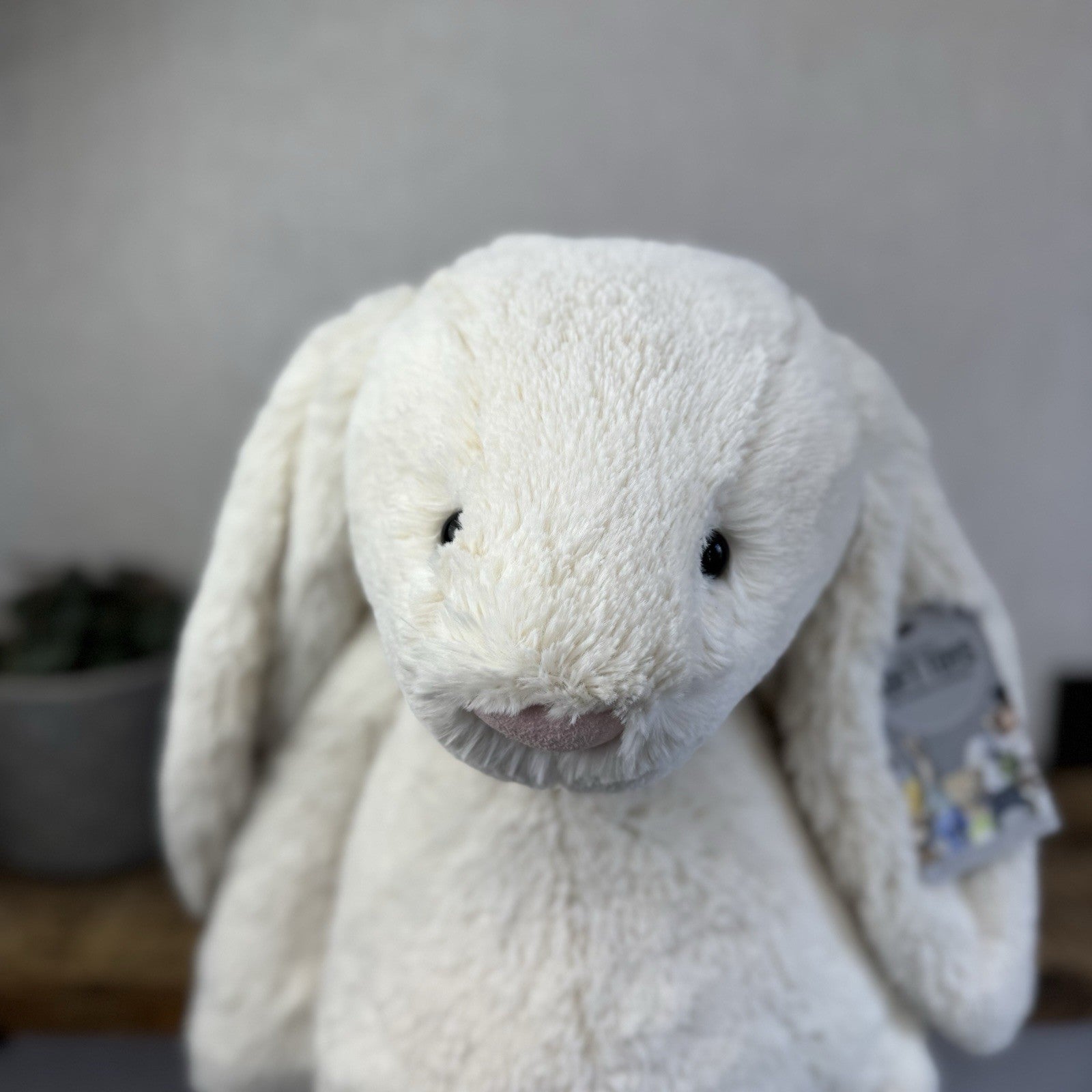 Jellycat Huge Bashful Cream Bunny - Large Off White Bunny - Big Rabbit Toy 50cm
