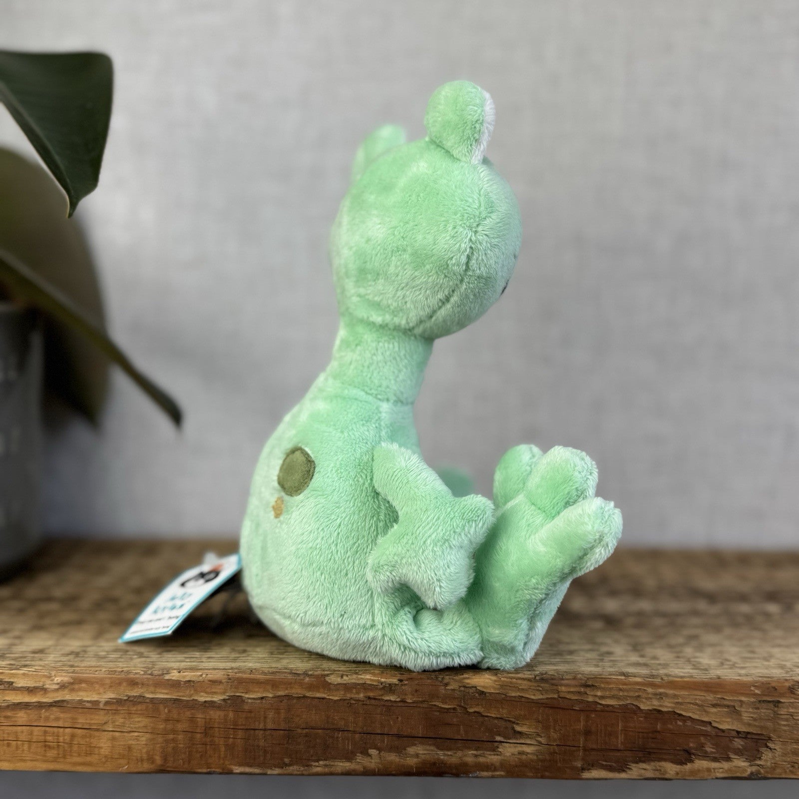 Jellykitten Bing Bong Frog - Soft Toy Frog Vintage Retired With Tags Small 10”