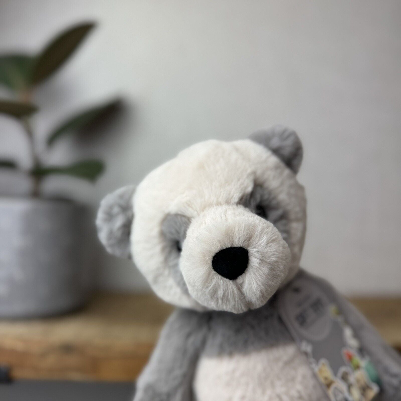 Jellycat Medium Buckley Panda - Snugglet Panda - Grey & White Beanie Panda 14”
