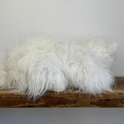 Ty Classic “Sugar” White Persian Cat Blue Bow Long Haired Soft Plush Toy 2002