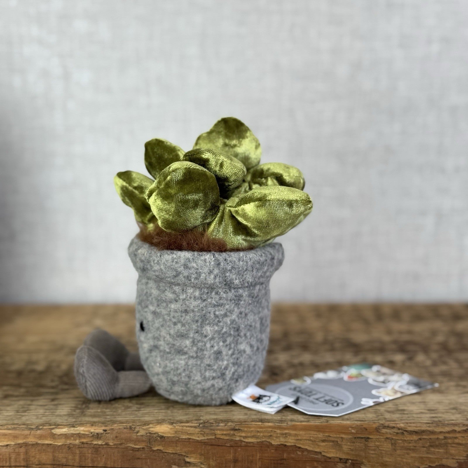 Jellycat Amuseable Silly Succulent Jade - Velour Green Small Potted Succulent 6”