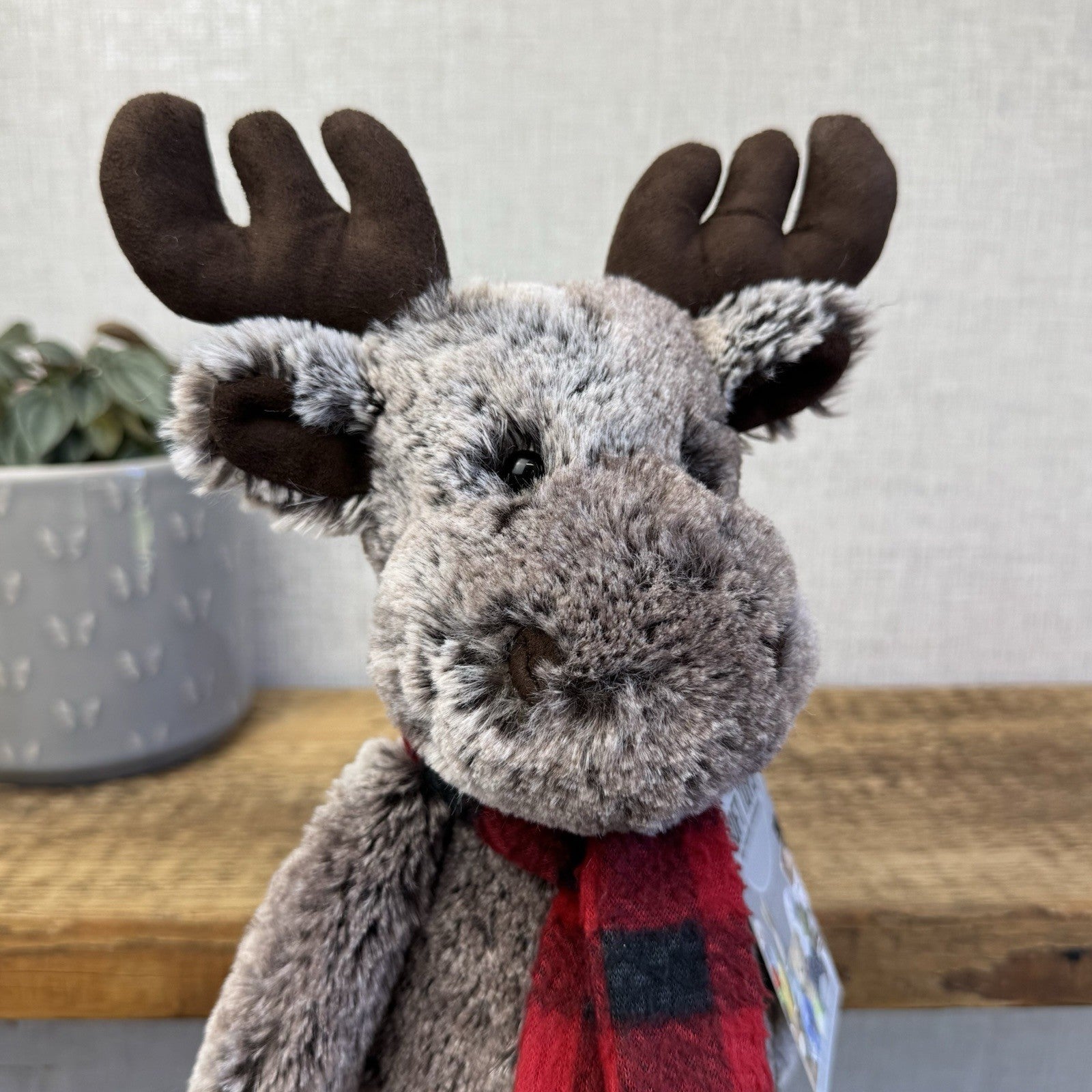 Jellycat Medium Bashful Moose With Scarf - Check Red/Black Scarf Woodland Moose