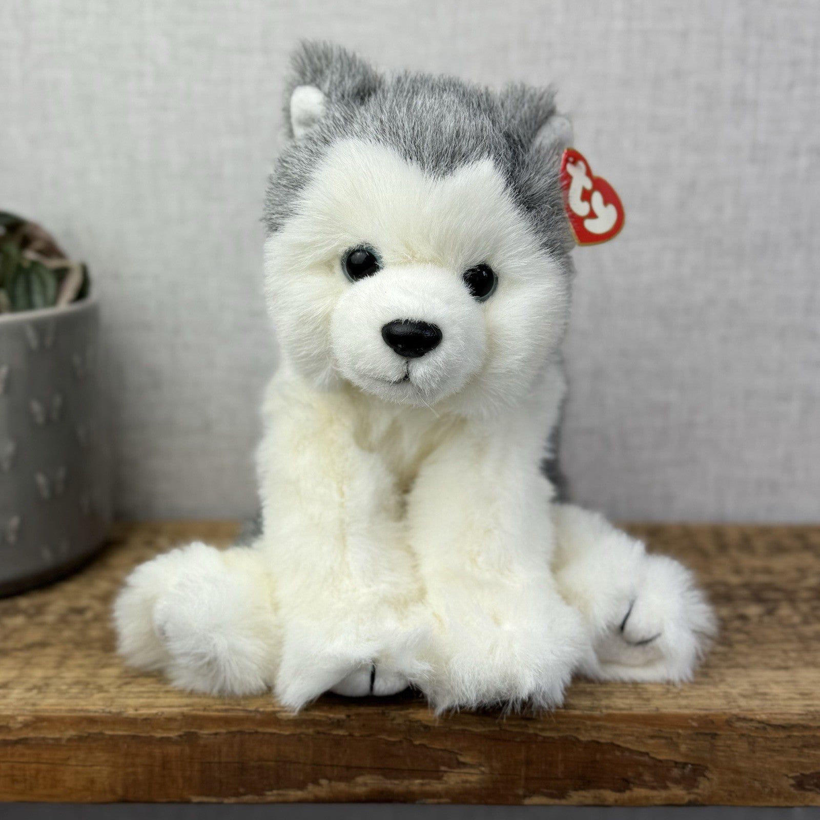 TY Dakota Husky Dog Classic Beanie Babies Soft Toy Pristine New With Tags 10"