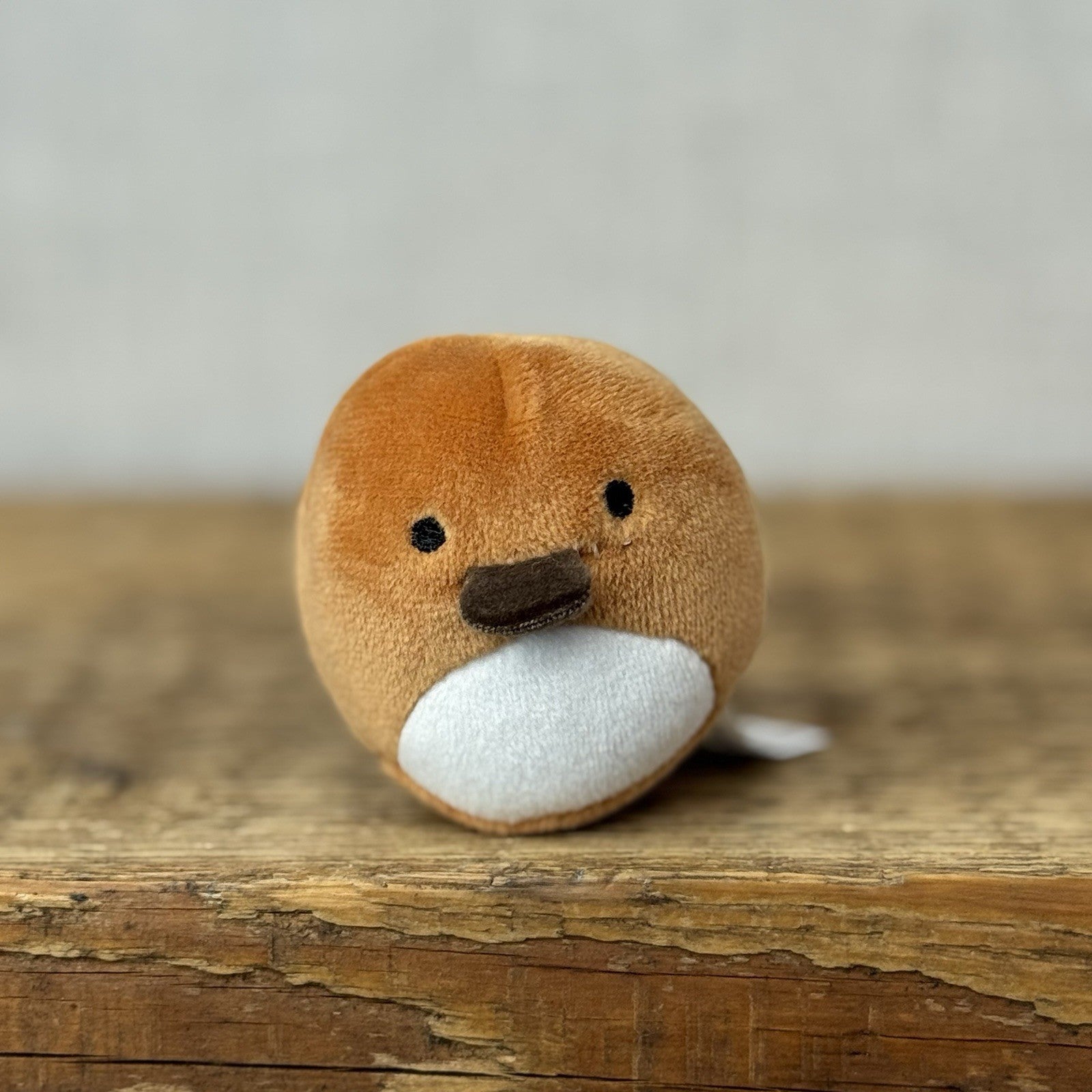 Squishmallow Squishville - Santiago Platypus Brown Sea (Multi Buy Discount)