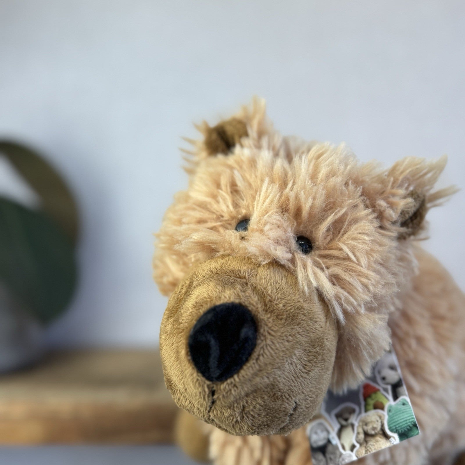 Jellycat Medium Grizzly Bear Rare Truffles Cushion Floppy Beanie Bear Brown 14”