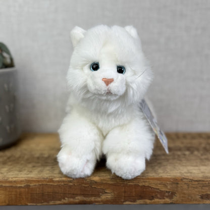 Animal Alley Realistic White Fluffy Cat - Fluffy Beanie Mini Cat Soft Toy 8"