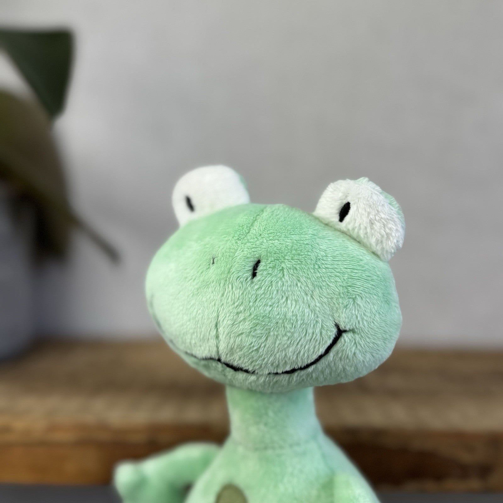 Jellykitten Bing Bong Frog - Soft Toy Frog Vintage Retired With Tags Small 10”