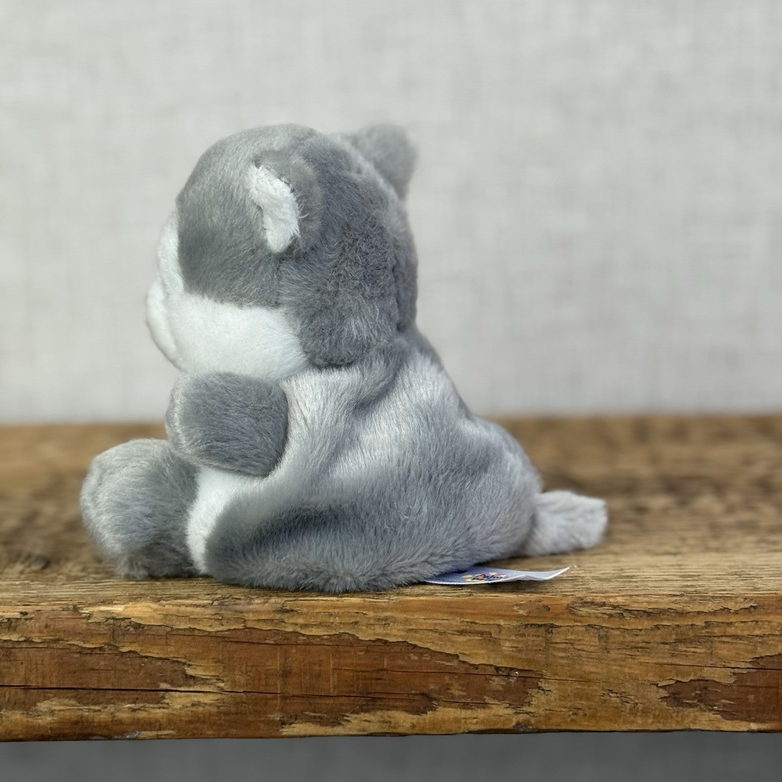 Aurora - Palm Pal Mini Beanbag Plush 5” Busky Husky