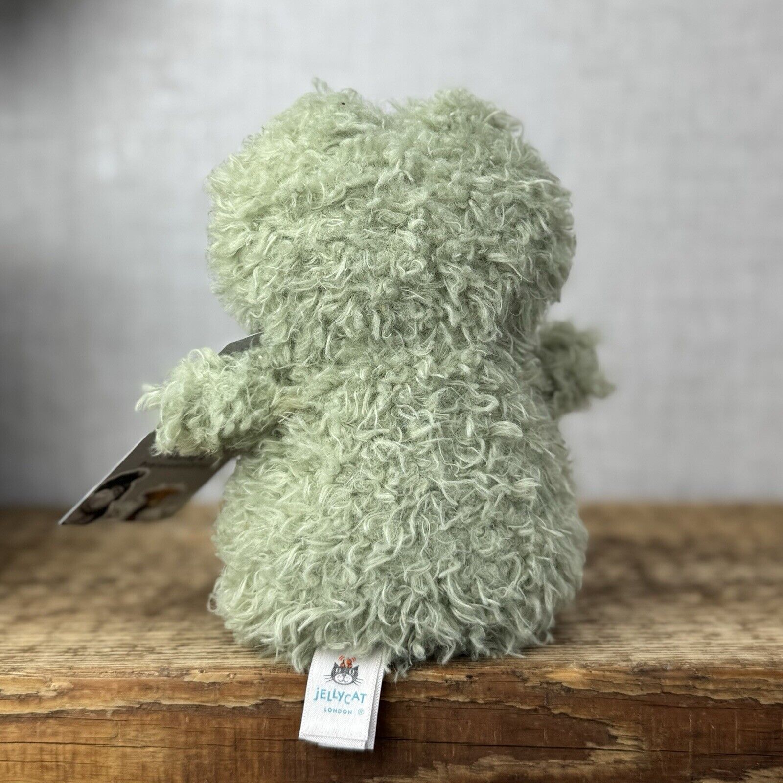Jellycat Little Frog - Fluffy Little Frog - Light Gren Frog Plush Soft Toy Small