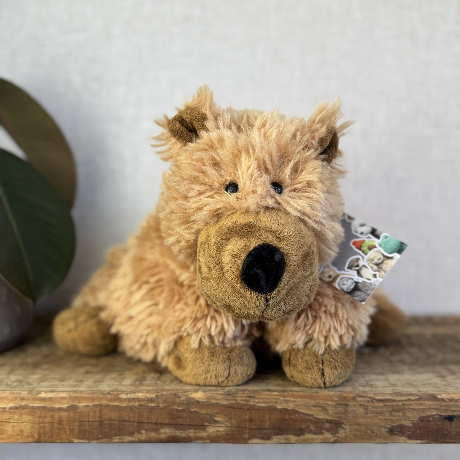 Jellycat Medium Grizzly Bear Rare Truffles Cushion Floppy Beanie Bear Brown 14”