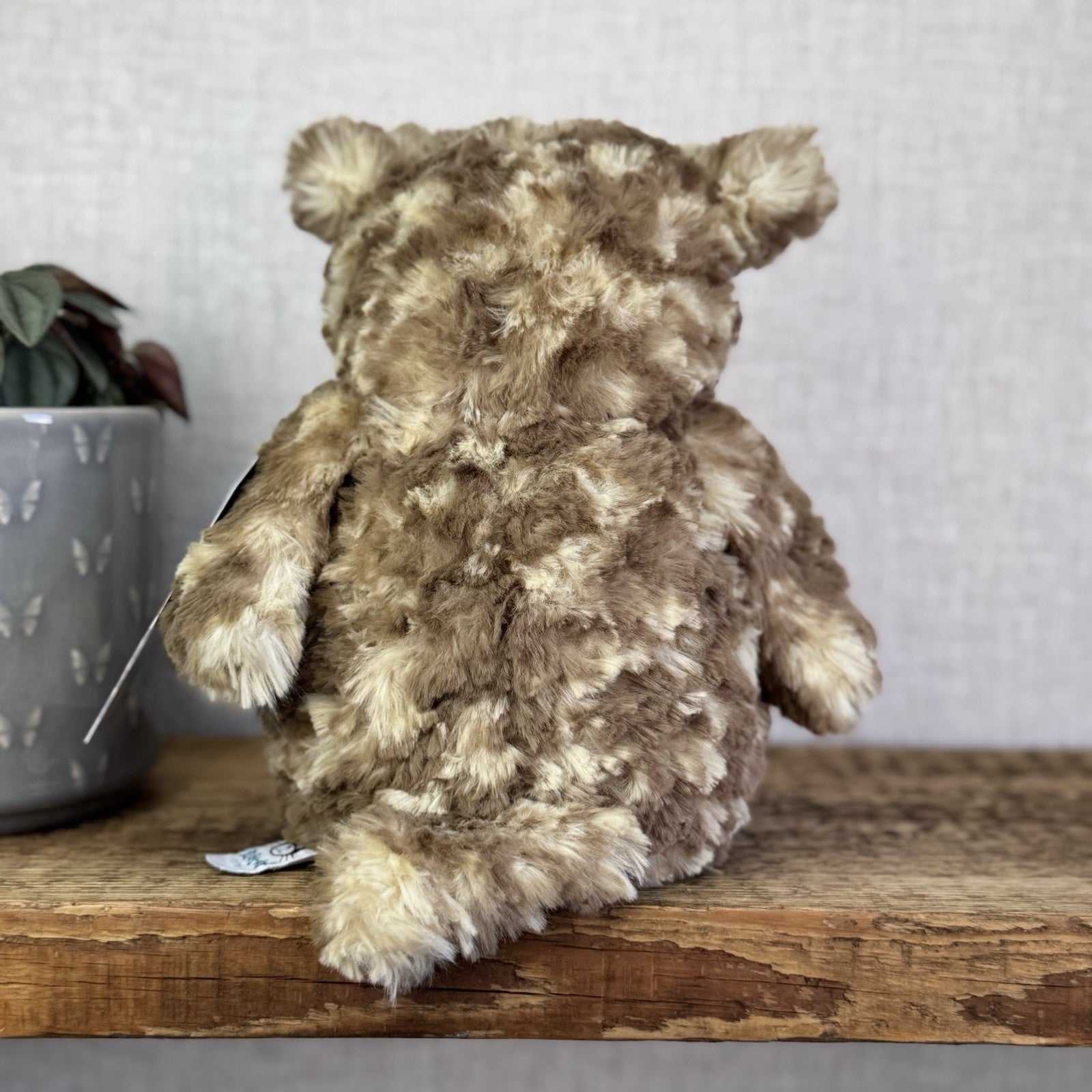 Jellycat Oberon Owl - Beige Brown Owl Beanie Plush Toy Retired Bird 9"