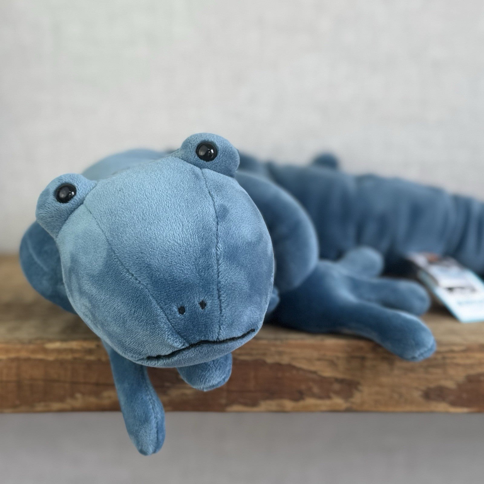 Jellycat Zigzag Gecko - Blue Velour Large Beanie Lizard Rare With Tags 22"