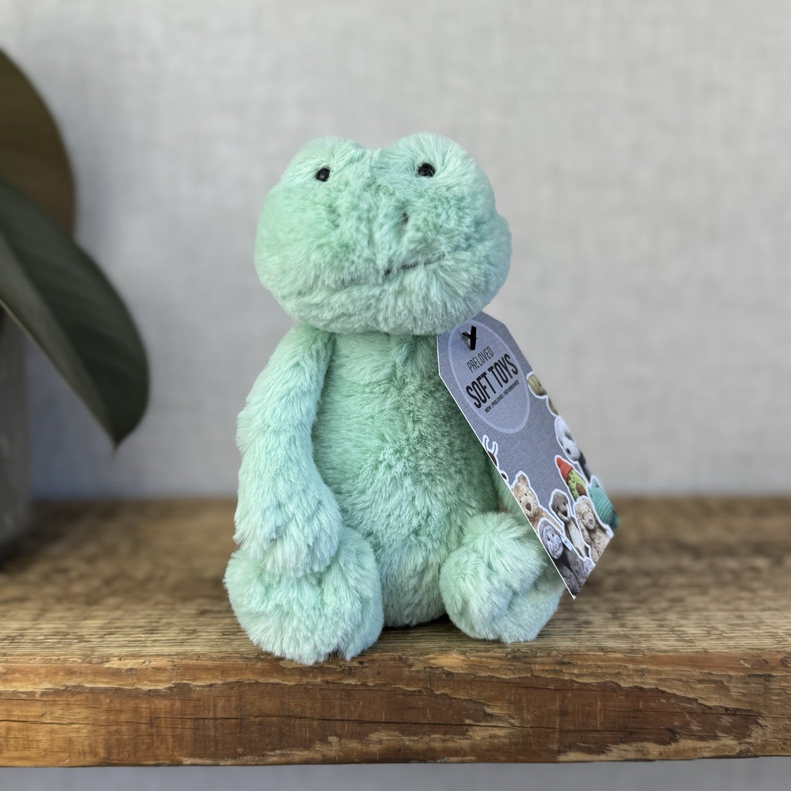 Jellycat Small Bashful Mint Green Frog Soft Beanie Plush Rare And Retired 8”