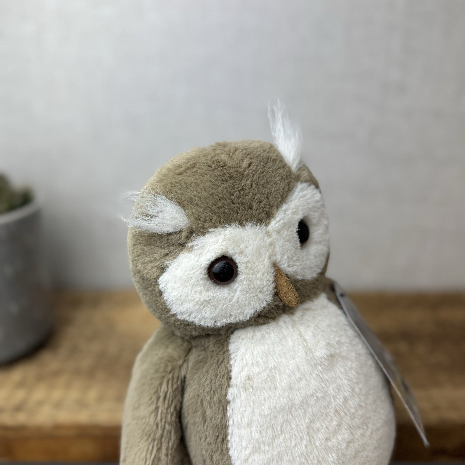 Jellycat Bashful Barn Owl - Medium Brown Owl Beanie Soft Toy Plush Bird 12”