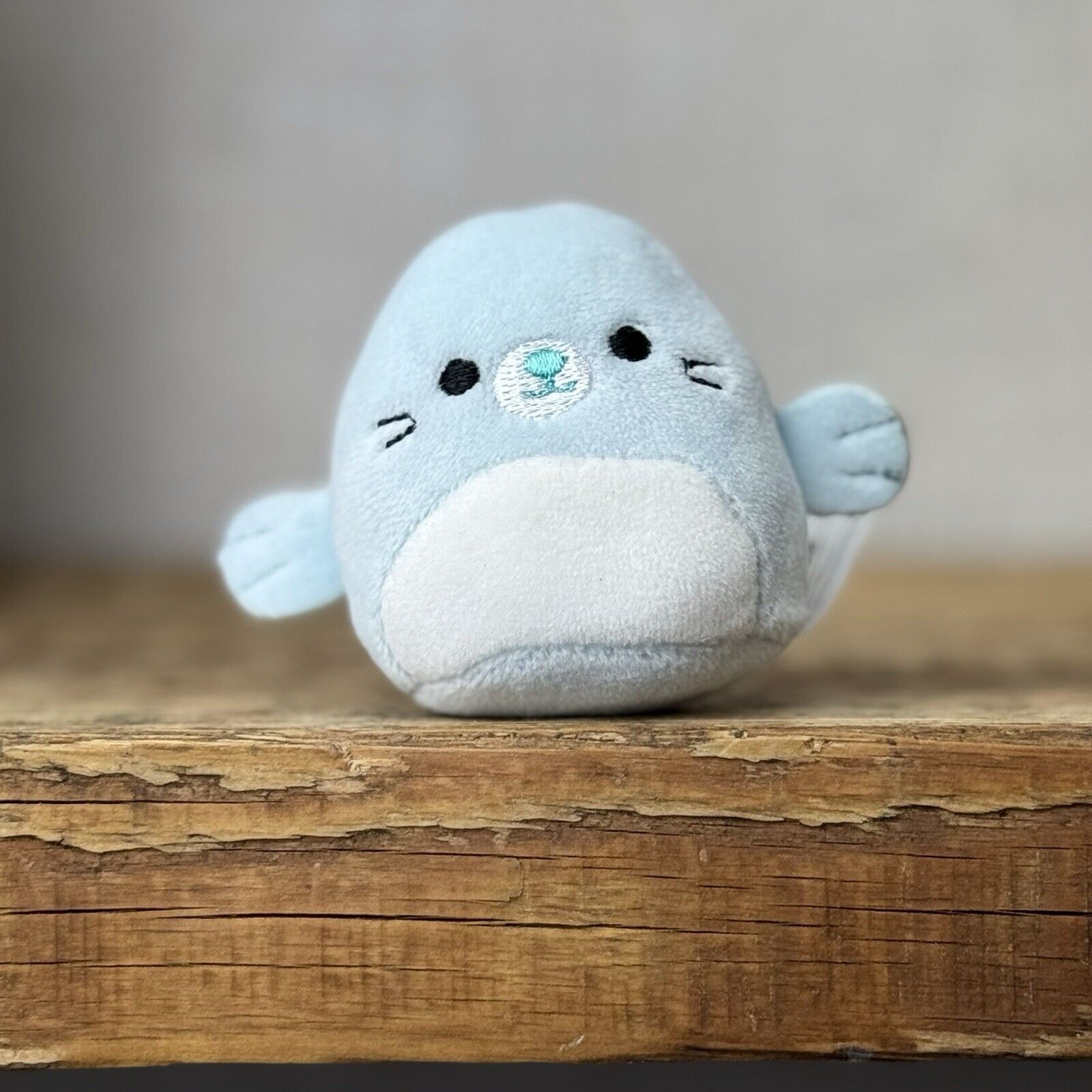 Squishmallows Squishville - Micromallows - Tiny Dorgee Blue Seal Soft Toy 2”