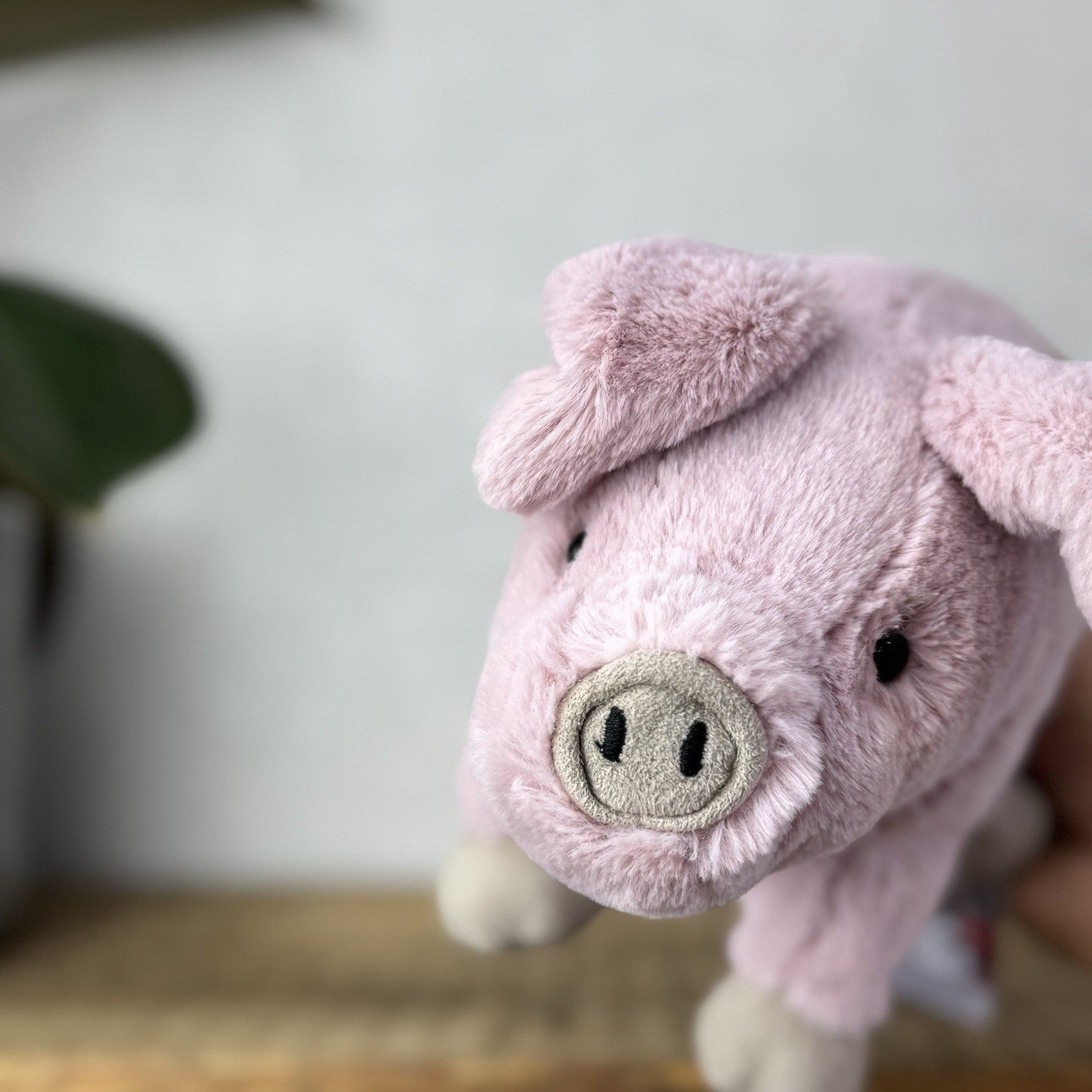 Jellycat Small Parker Piglet - Small Retired Pig Soft Toy Beanie Pink Piglet 8"