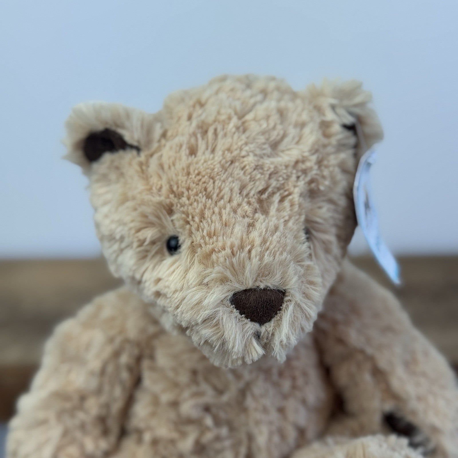 Jellycat Small Edward Bear - With Tags Retired Small Golden Traditional Bear 9"