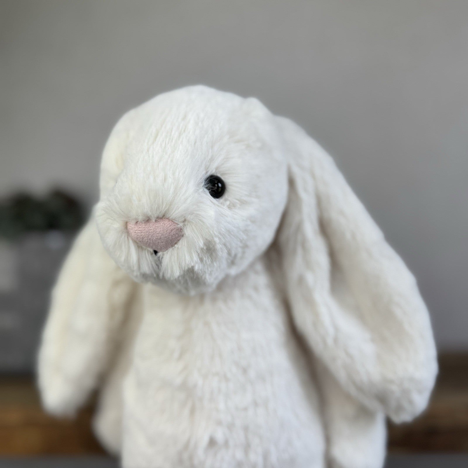 Jellycat Medium Cream Bashful Rabbit - Cream Off White Medium Bunny 12” New Tags
