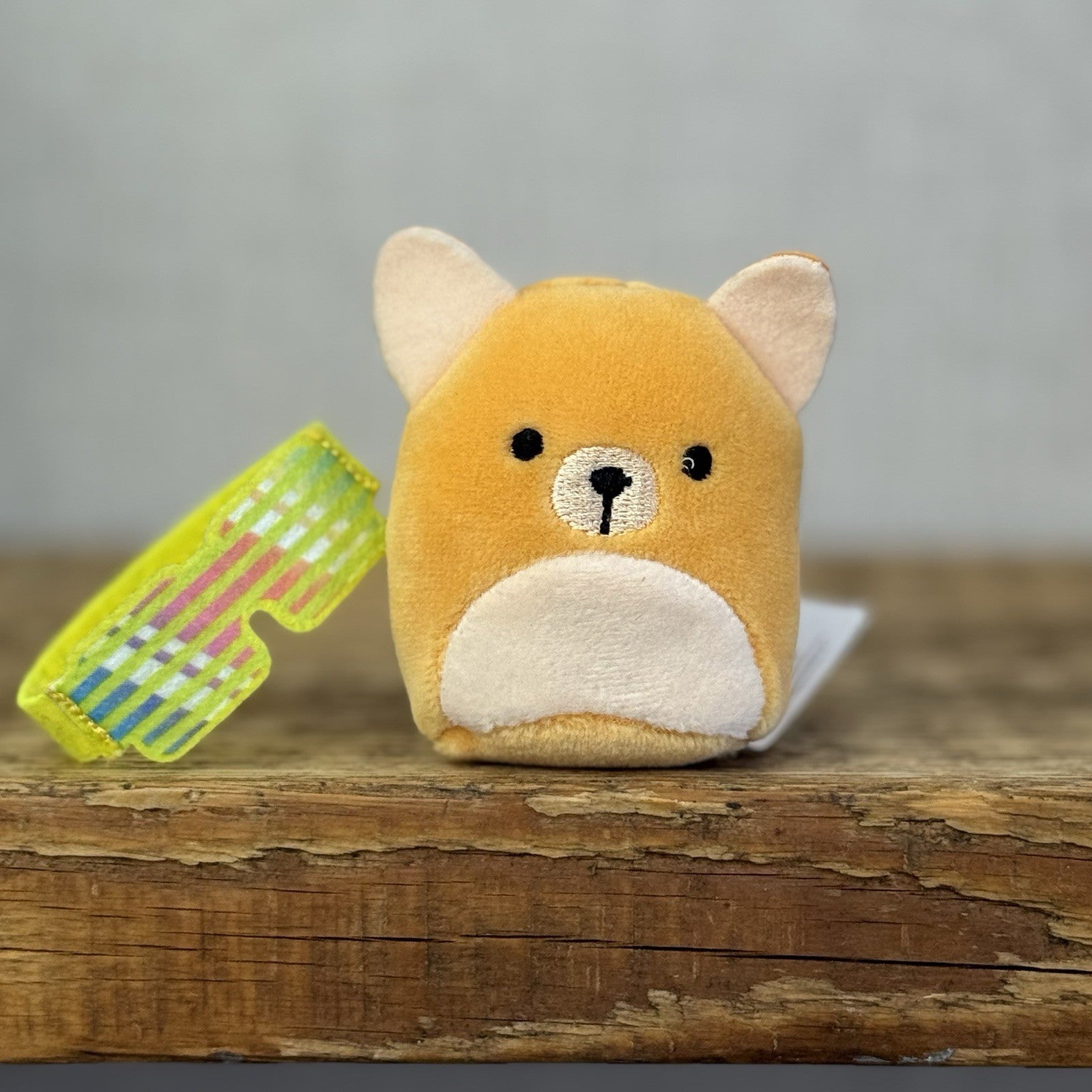 Squishmallow Squishville - Chauncy Chihuahua Dog Accessorie (Multi Buy Discount)