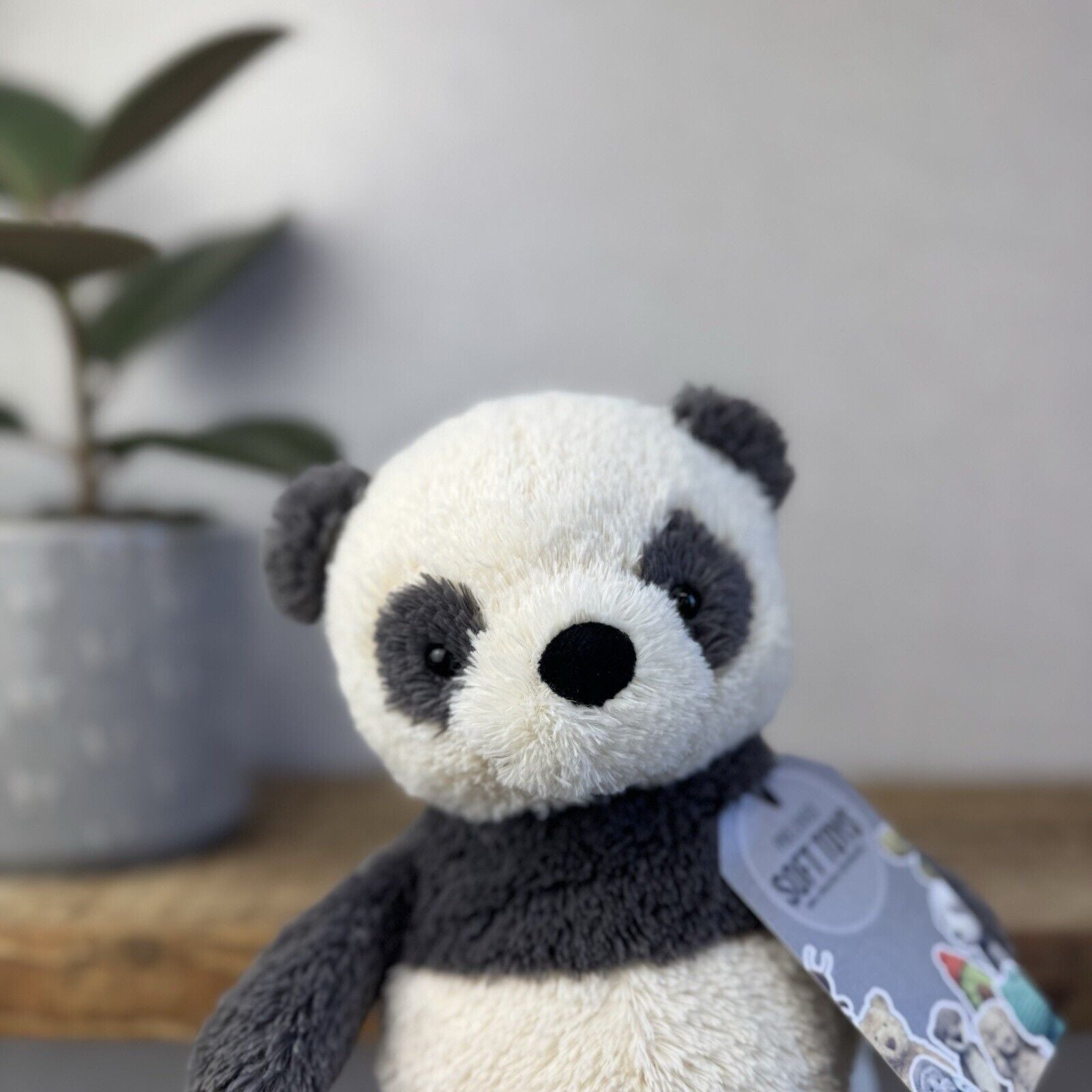 Jellycat Peanut Panda - Medium Peanut Scruffy Small Chubby Panda Plush Beanie 8”