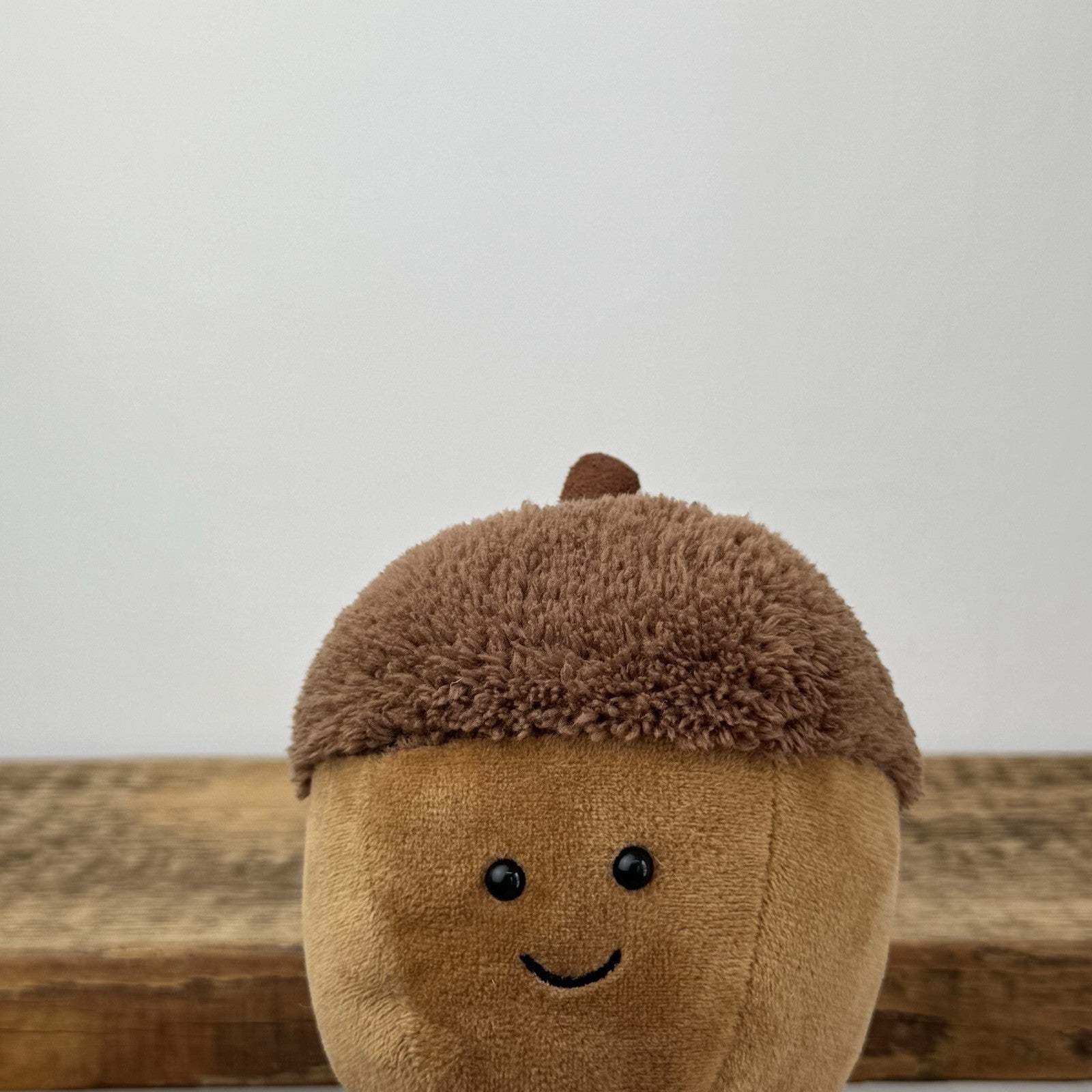 Jellycat Amuseable Acorn - Autumn Collection Jellycat Acorn With legs NWOT